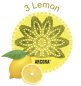 Preview: Arcora Urinalsieb maxi mit Duft Lemon